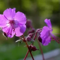 Главная