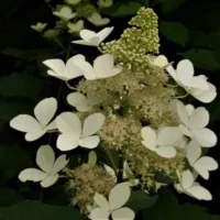 Главная
